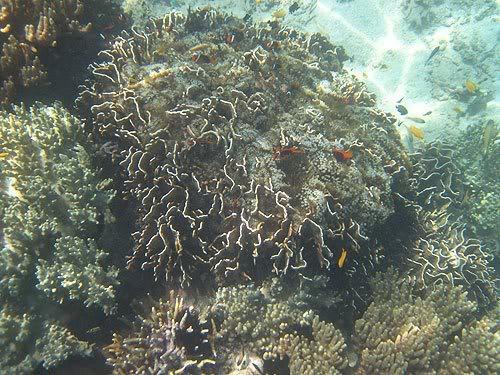 lombok14.jpg
