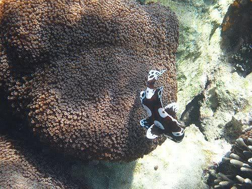 lombok15.jpg