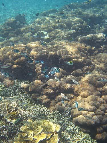 lombok16.jpg
