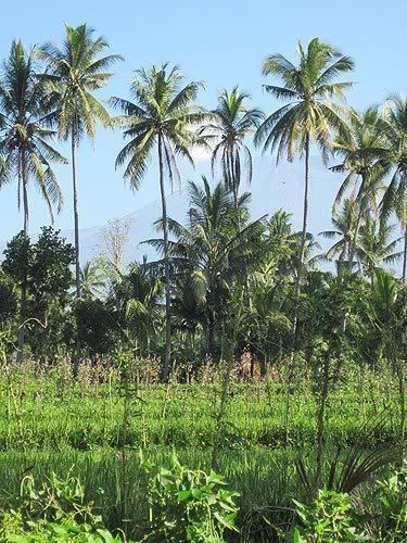 lombok42.jpg