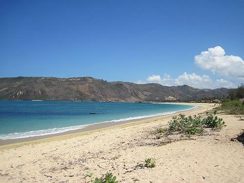 lombok50.jpg