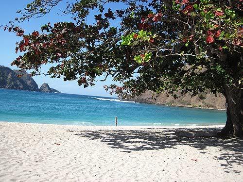 lombok58.jpg