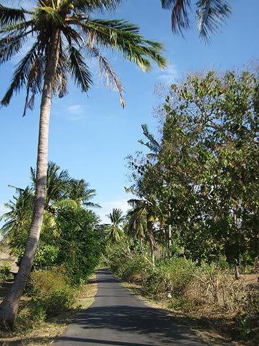 lombok71.jpg