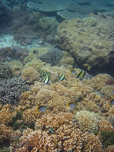 lombok76.jpg