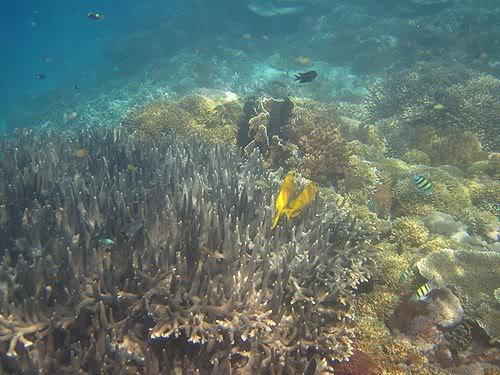 lombok78.jpg