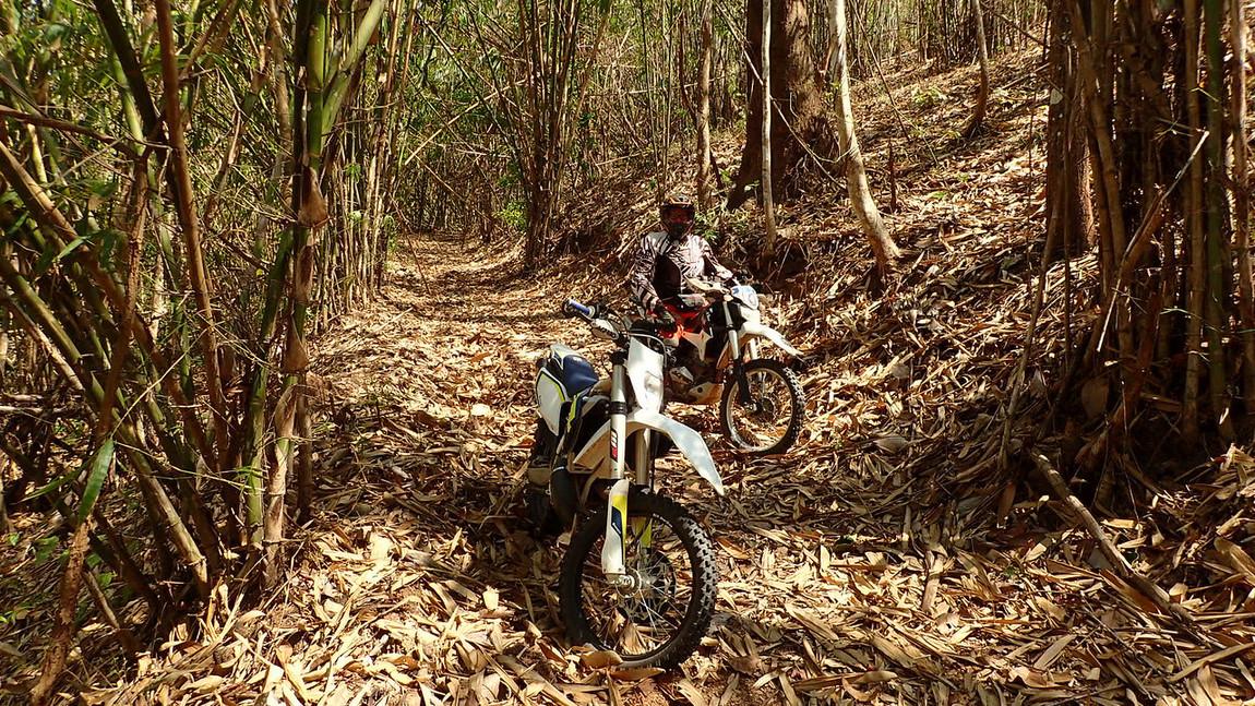 LRM_EXPORT_20170412_174818-X2.jpg