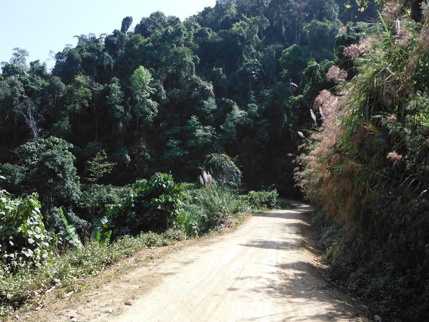 LuangPrabangNongKhiew26.jpg