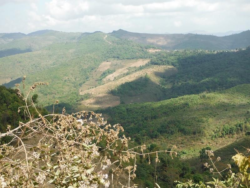 LuangPrabangNongKhiew30.jpg