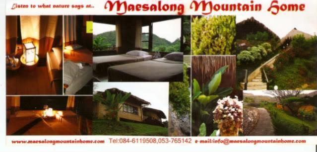 MaeSalongMountainHome2.jpg