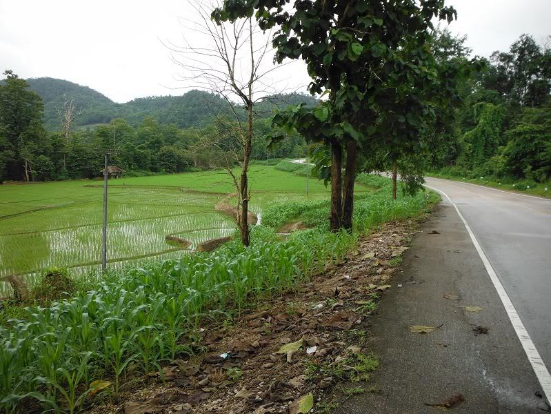 MaeSot-MaeSarieng14.jpg