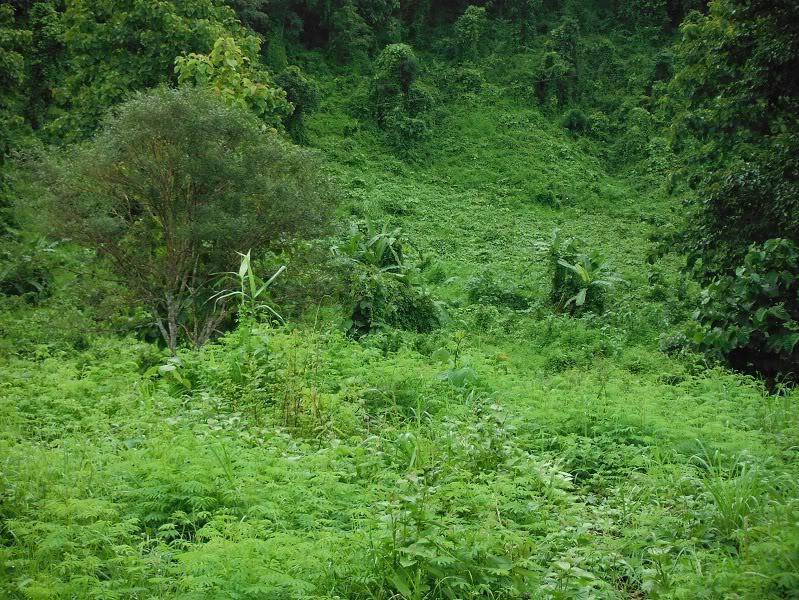 MaeSot-MaeSarieng8.jpg