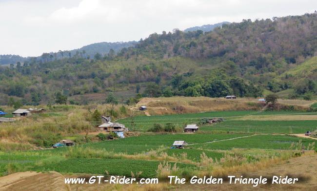 MaeWangLoop-GTR-IMG_0032-.jpg