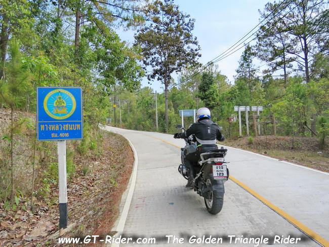 MaeWangLoop-GTR-IMG_0075-.jpg