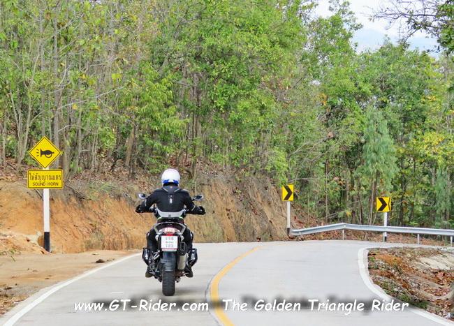 MaeWangLoop-GTR-IMG_0077-.jpg