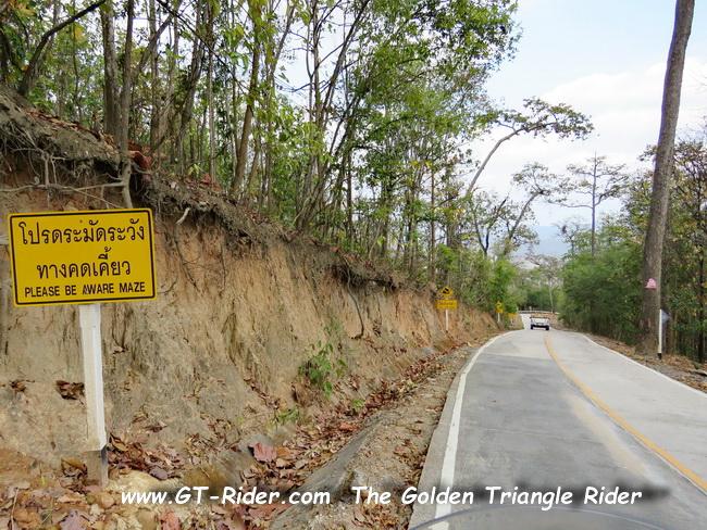 MaeWangLoop-GTR-IMG_0079-.jpg