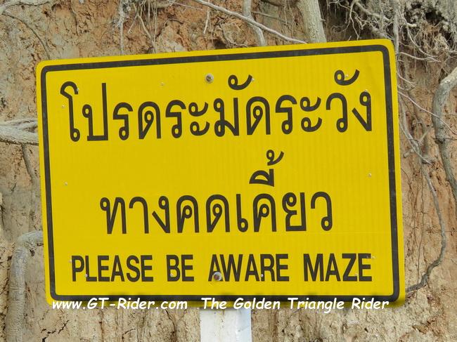 MaeWangLoop-GTR-IMG_0080-.jpg