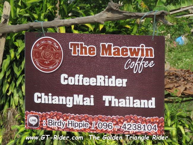MaeWangLoop-GTR-IMG_0083-.jpg