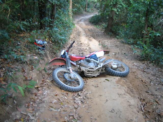 MaeWing-december008.jpg