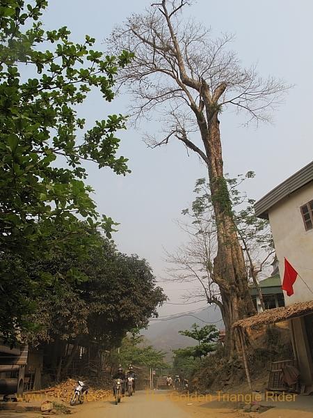 mai-chau-xam-nua-005.jpg