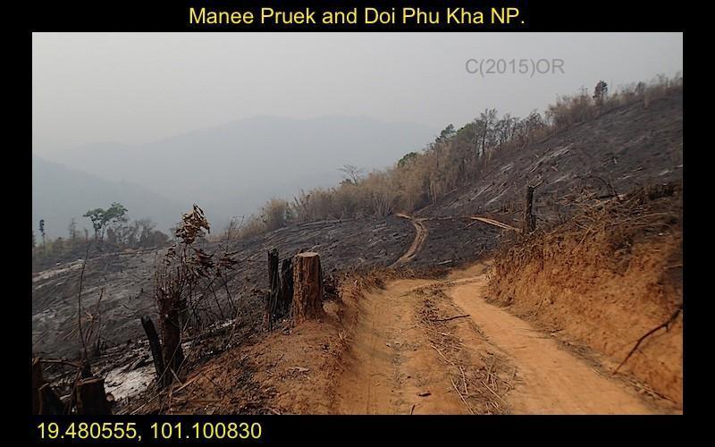 Manee%20Pruek%202-L.jpg