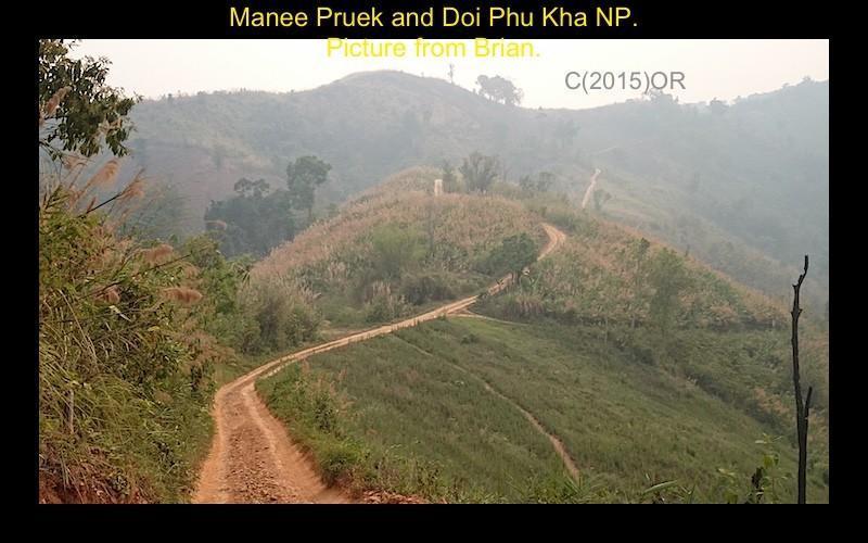 Manee%20Pruek%204-L.jpg