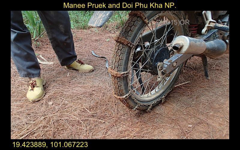 Manee%20Pruek%206-L.jpg