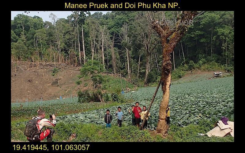 Manee%20Pruek%208-L.jpg