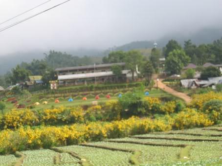 MHS-CM029.jpg