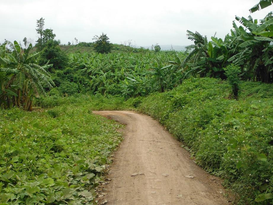 Motorcycle%20Laos%20Vietnam%20%2040.jpg