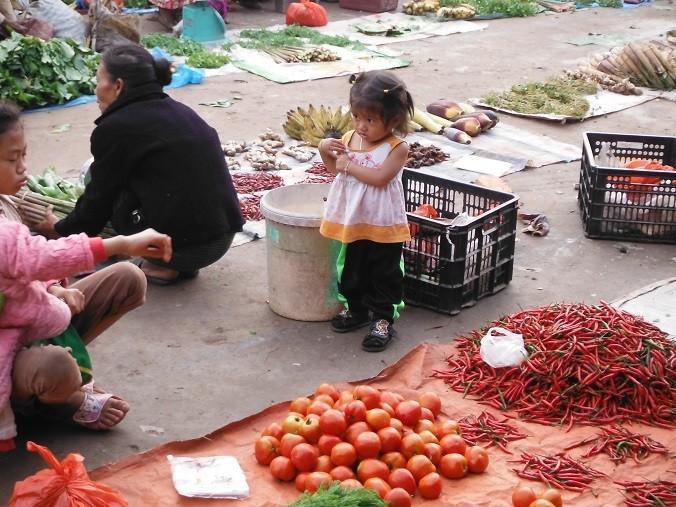 MuangSingLaosMarketMotorcycle2.jpg