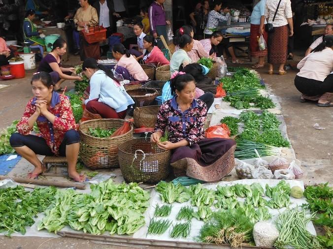 MuangSingLaosMarketMotorcycle7.jpg