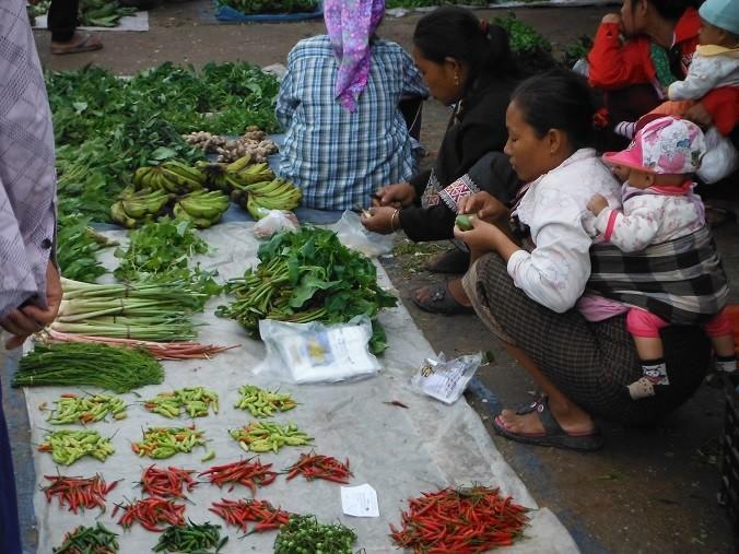 MuangSingLaosMarketMotorcycle8.jpg