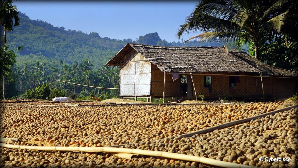 Myeik-Bokpyin-008.jpg