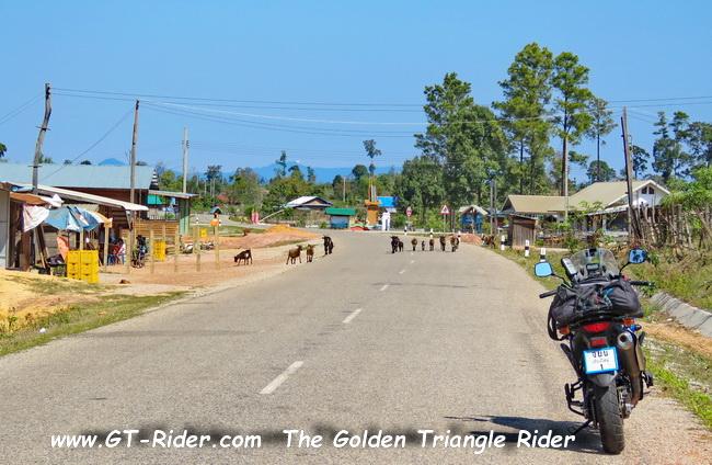 NakaiPlateau-GTR-IMG_2752.jpg