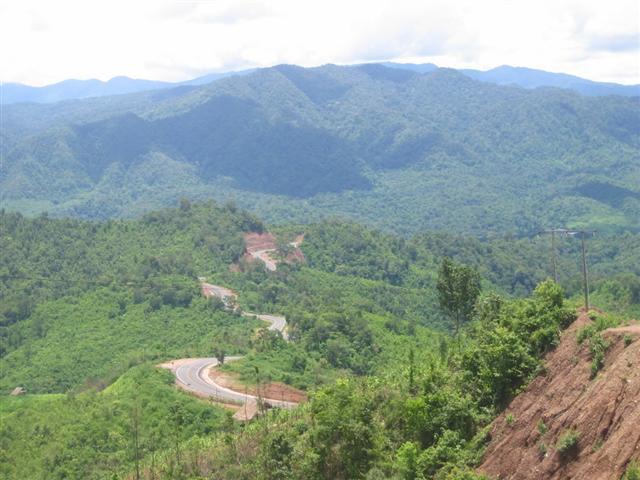 Nan-Doi%20Phu%20Ka%20133.jpg