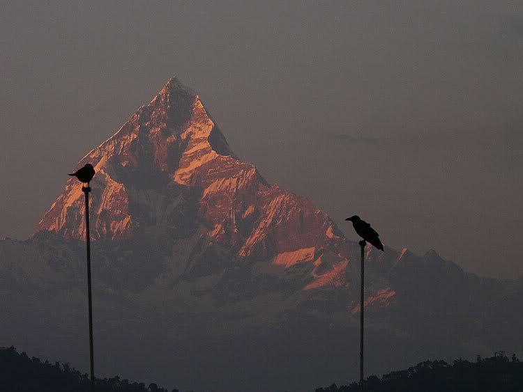 nepal31.jpg