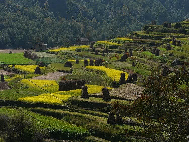 nepal58.jpg