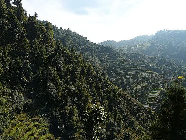 nepal60.jpg