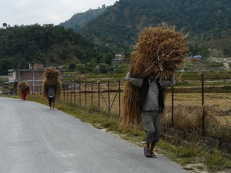 nepalis10.jpg