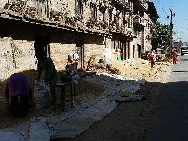 nepallast02.jpg