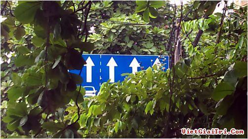 nhung-bien-bao-giao-thong-dc13ef.jpg