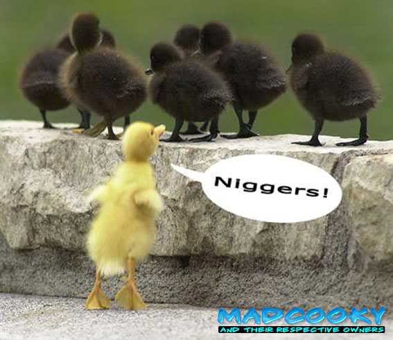niggers.jpg