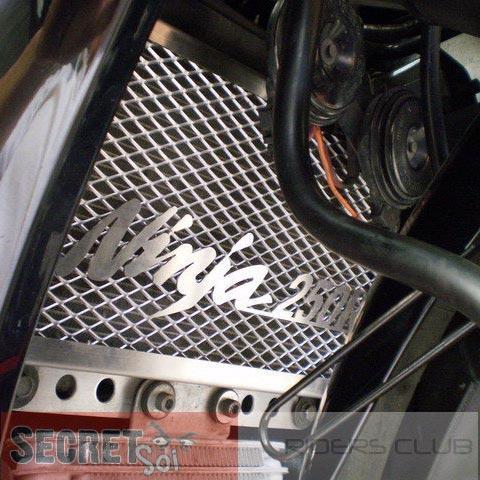 NINJA250RRADIATORGUARD1SSR.jpg