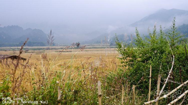 NK7_0986.jpg