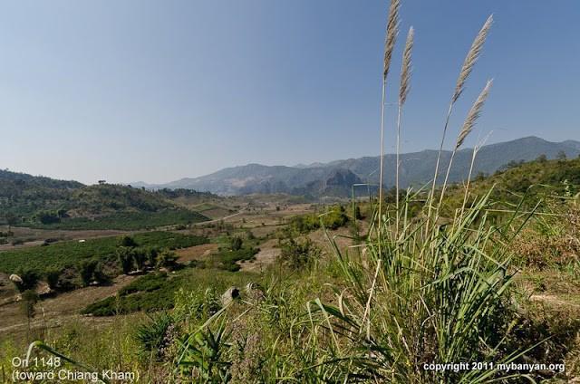NK7_2228.jpg