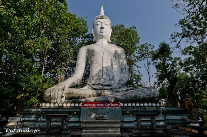 NK7_7255.jpg