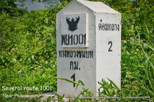 NK7_7344.jpg