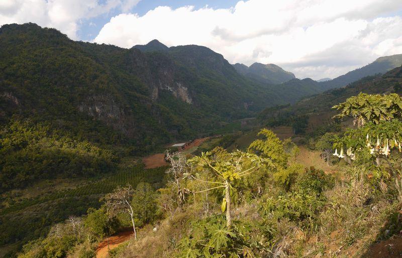 north-thailand-2009-24-thumb.jpg