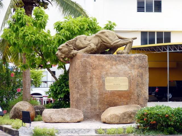 p10.jpg
