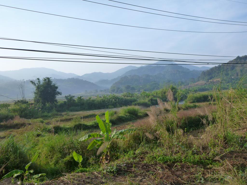 P1000005_zps72eab7fa.jpg